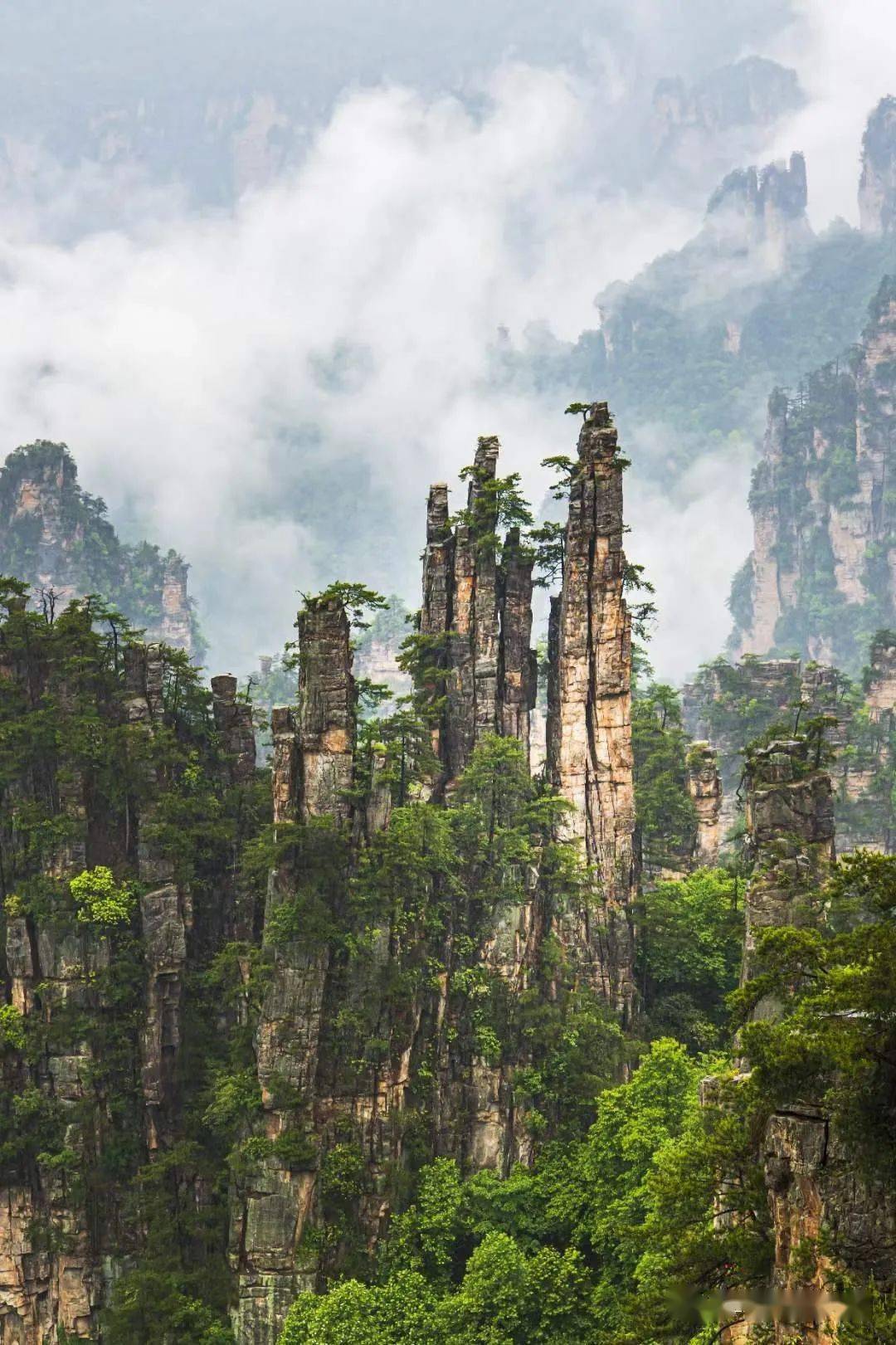 【全国招募】2023年魅力湘西之张家界,袁家界,红石林,天门山,芙蓉镇