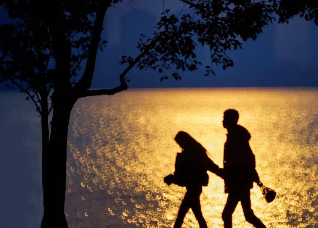 器材 :sonyilce-7rm4