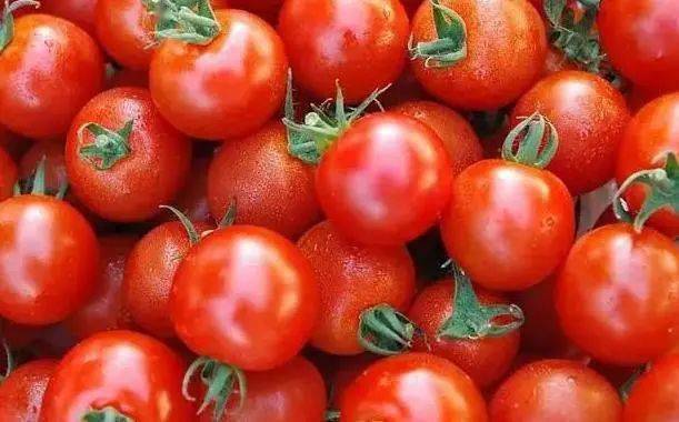 做西红柿炒蛋建议不放这种调料,快来看看你放过吗?_身体_热量_维生素