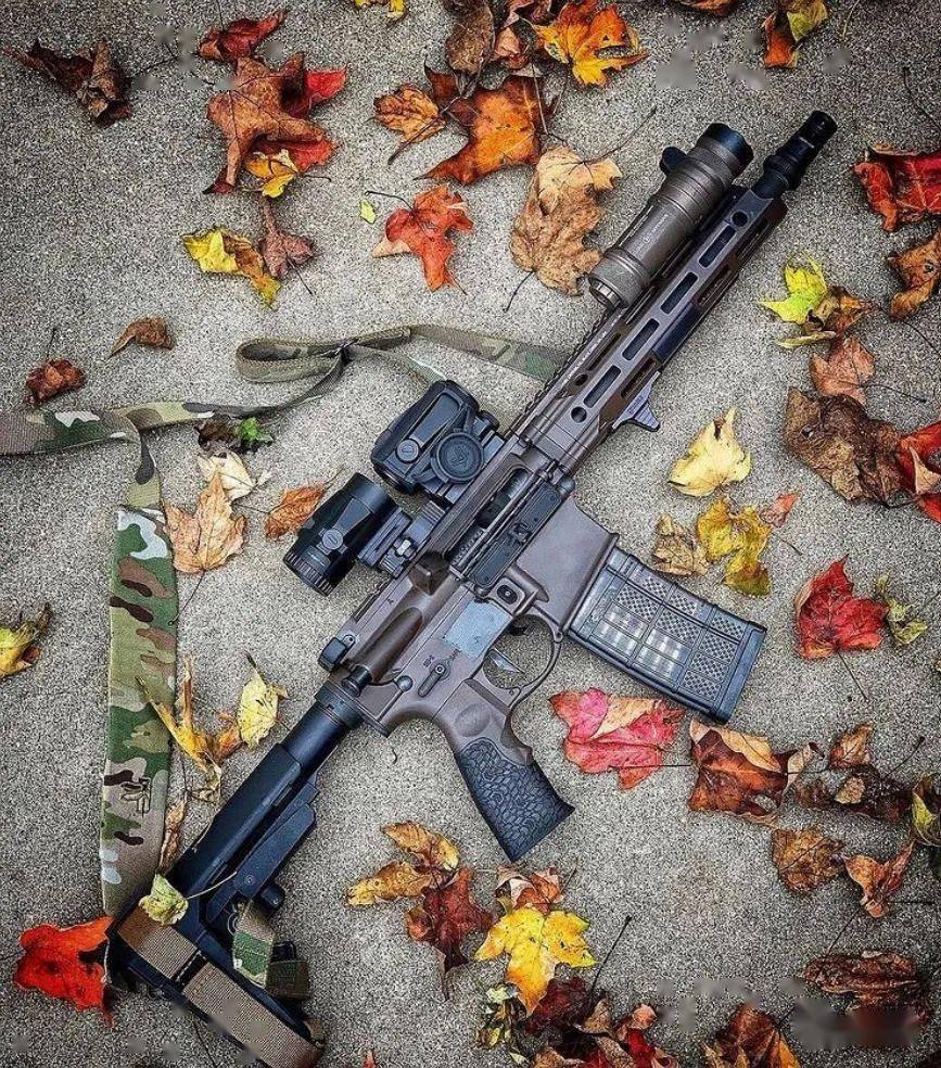 【新时代mk18 mk12】daniel defense公司枪械美图欣赏