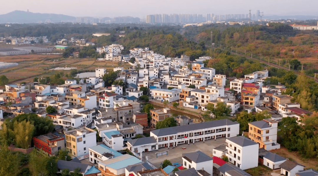 信丰县大塘埠镇地图图片