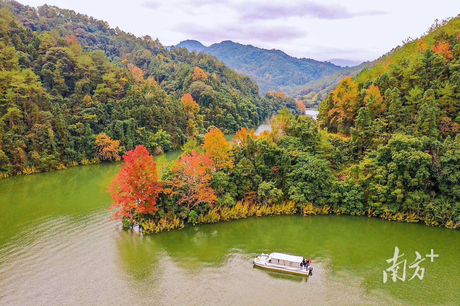 "目前正是观赏红叶的好时节,加上日前省林业局也发布了南粤红叶十大