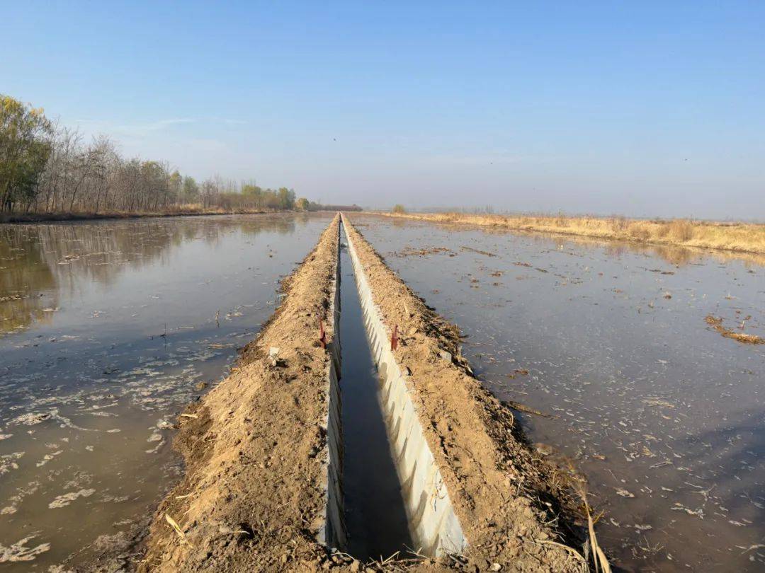 【建议提案"成绩单"】修缮水渠解民忧 农田灌溉添活力_蒲滩_村民_果园