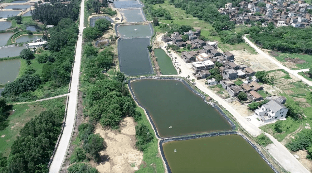 廣東濱海旅遊公路陽江先行段通車!_海陵大_項目_大堤