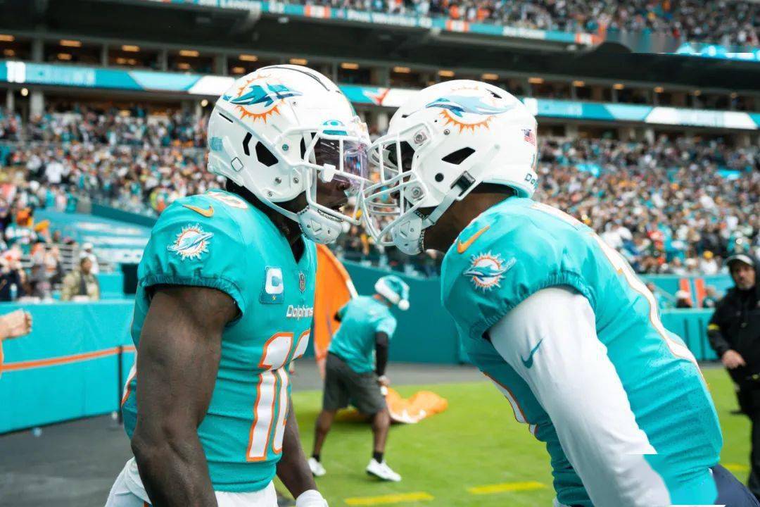 迈阿密海豚(8-7)