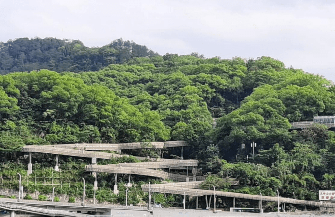 延平文旅丨百合仙子带你游 福州都市圈门户城市——诗画延平_行动