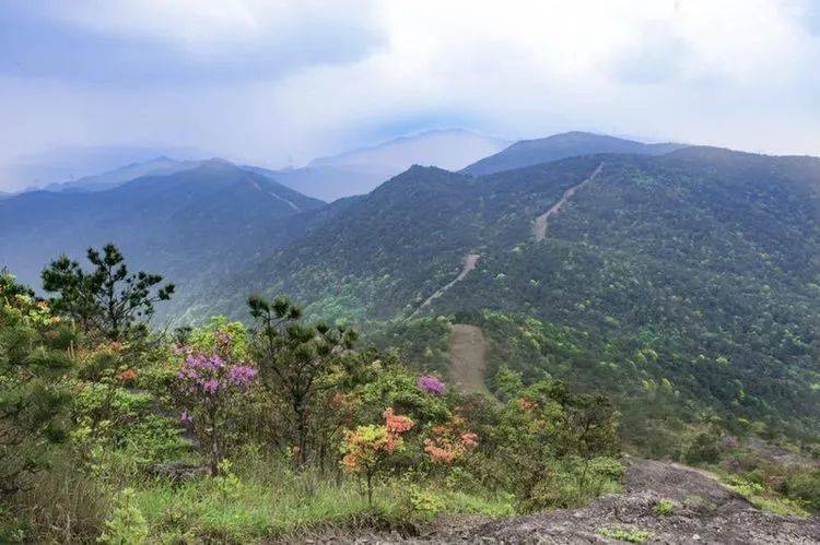 其中,鹫峰山森林步道南起福州市闽侯县戴云山森林步道途经福州市永泰