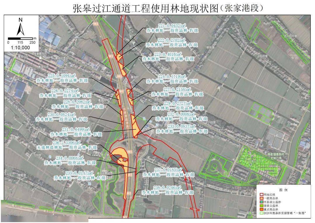 张皋过江通道拆迁范围图片
