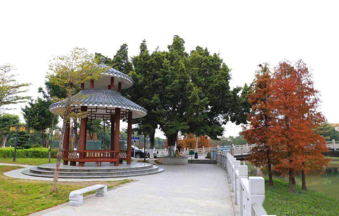 冬日的麻涌古梅乡韵风光无限_特色_生态_小景