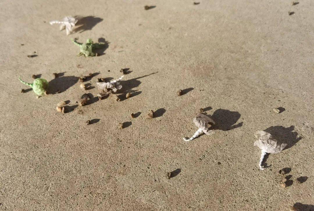 临近春节,孩子玩的这玩意有爆炸隐患!消防提示_摔炮_家长_网友
