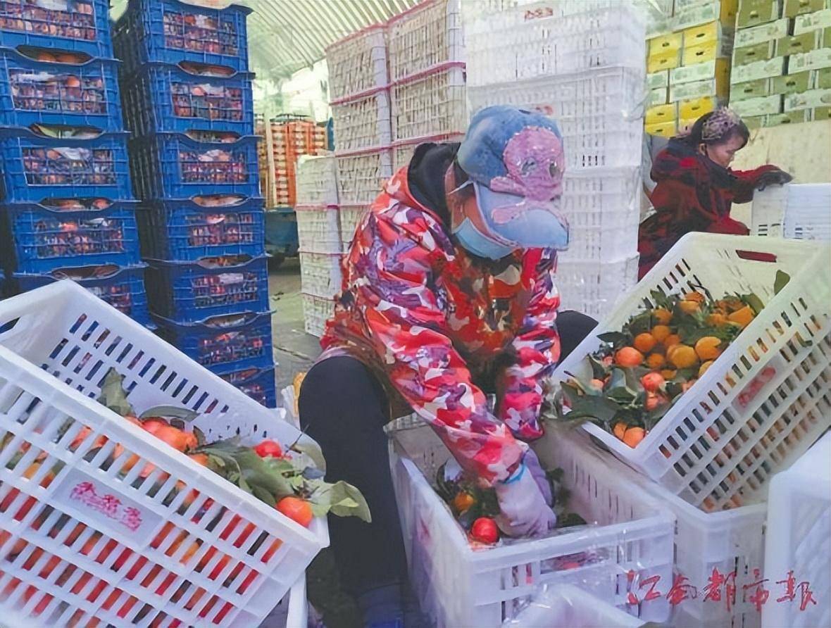 临近年关水果价格上涨_水果价格暴涨_水果价格大涨