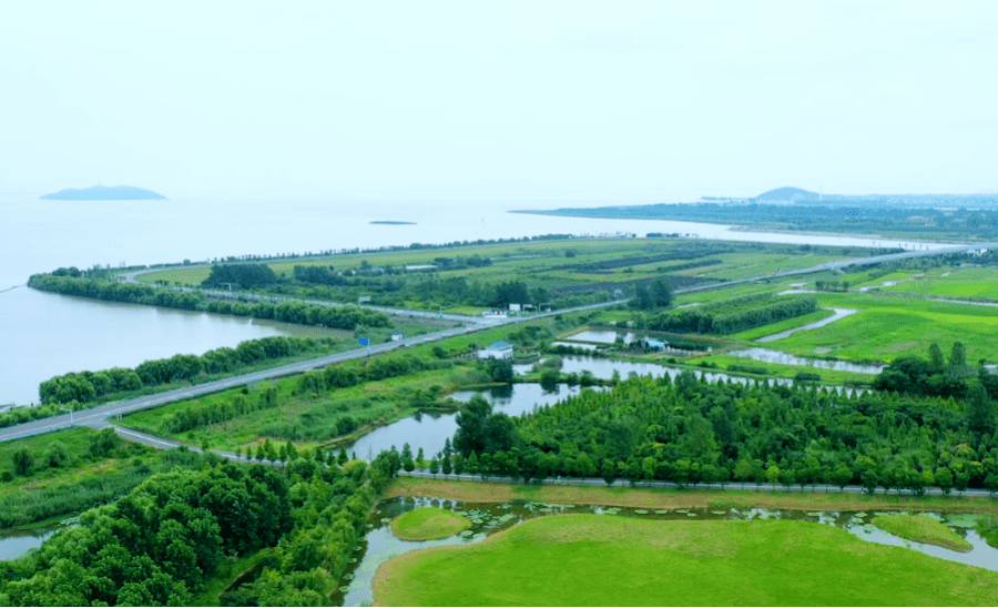 肥西三河国家湿地公园图片