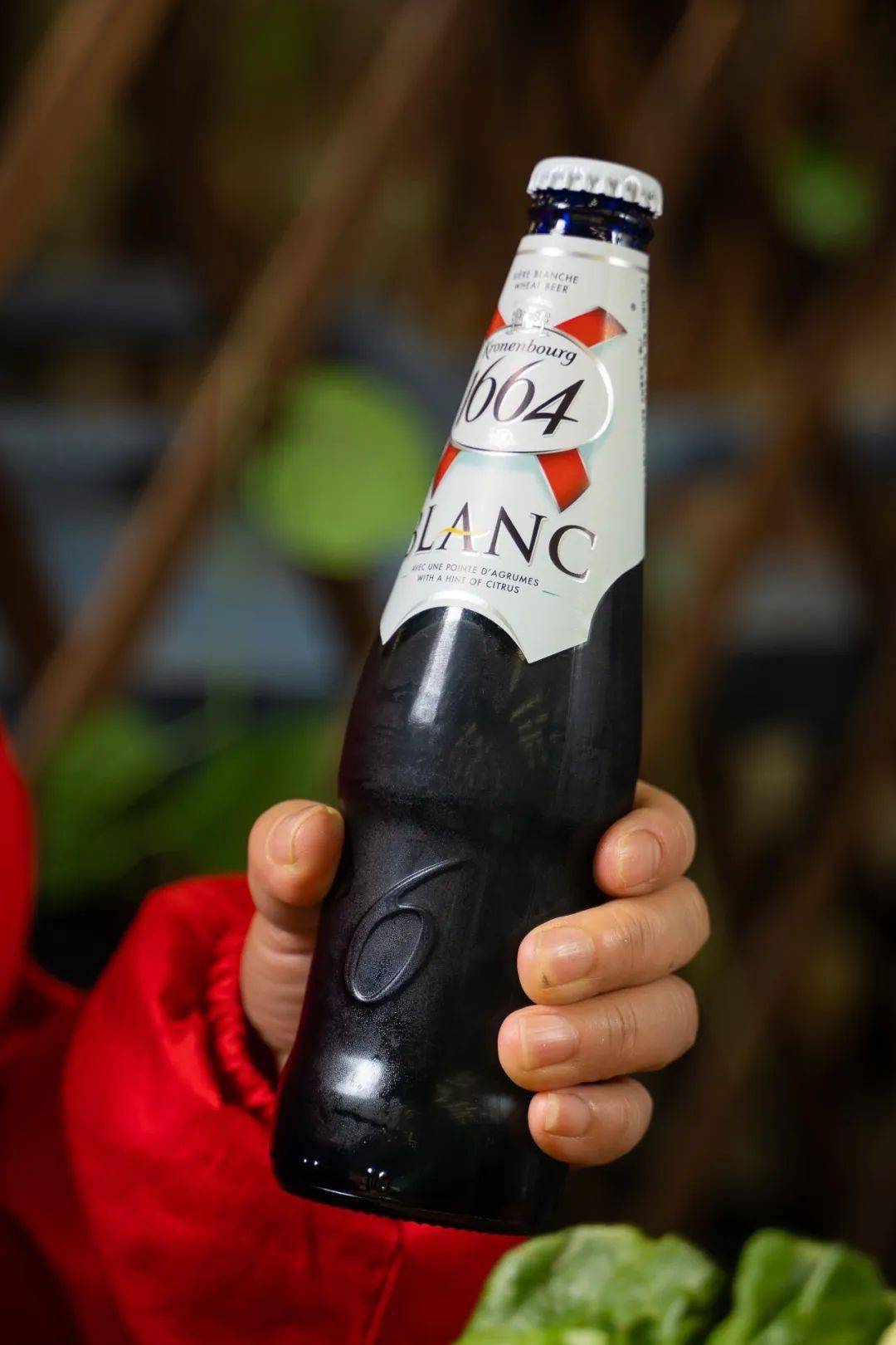 广东经典的蓝带啤酒,年轻人爱点的1664啤酒,童年回忆沙示汽水,还有