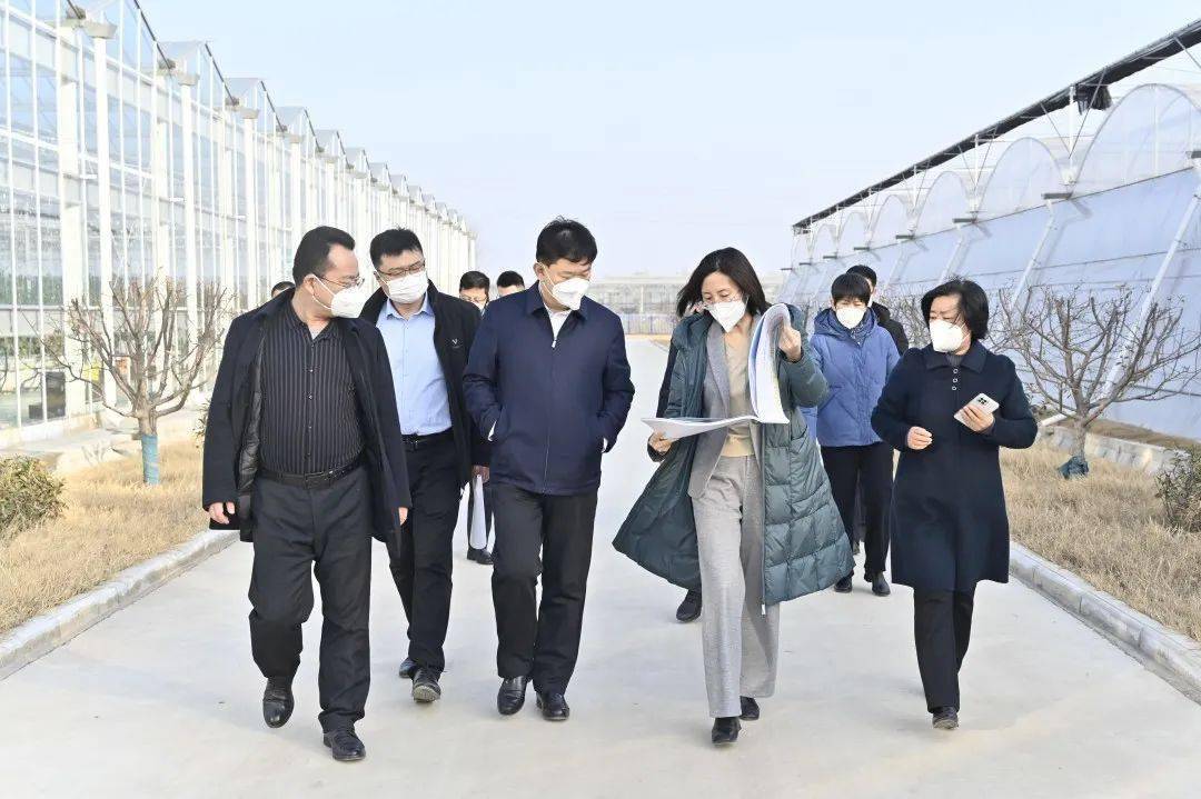 【今日发布】县委副书记周相华一行到汶上街道督导乡