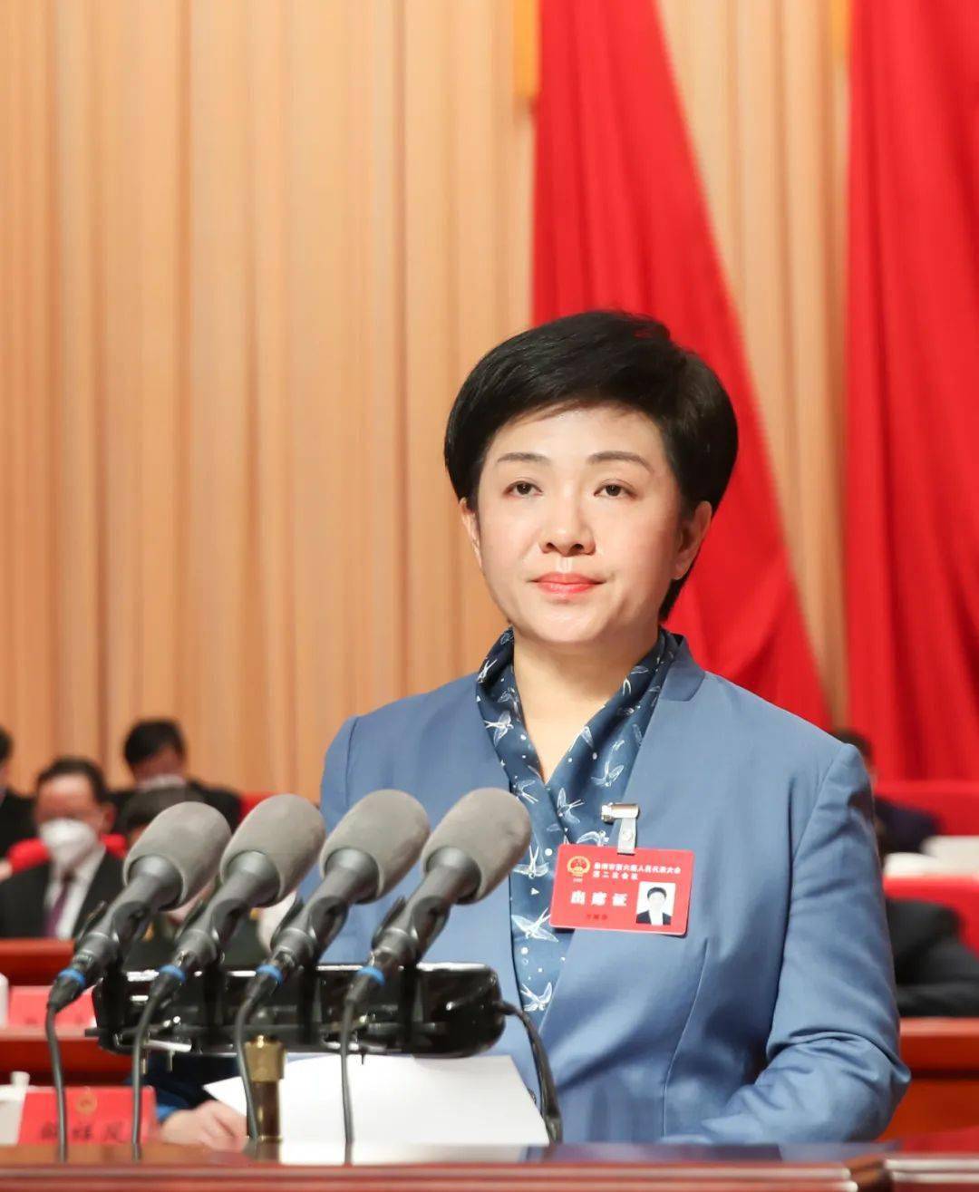 市委书记朱立凡隆重开幕第二次会议泰州市第六届人民代表大会今天上午