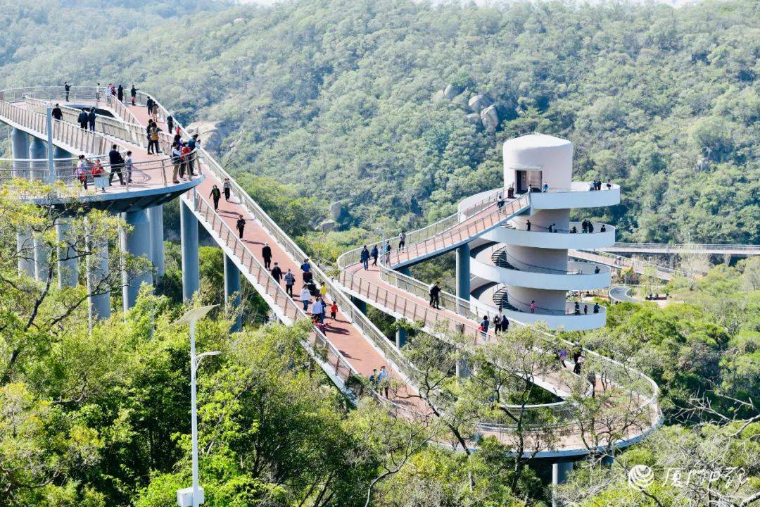 厦门山海步道林海线图片