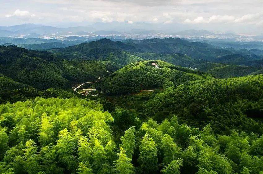 我市林长制考核居全省第一_林业_三明_森林