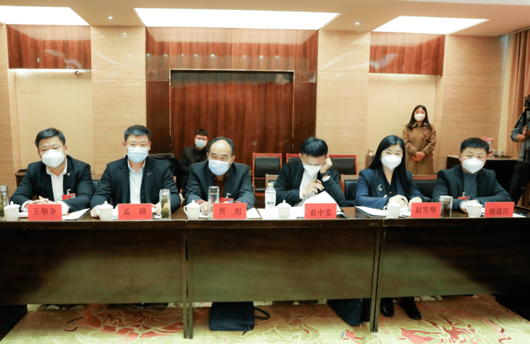 魏传永到谢集镇代表团审议讨论政府工作报告_发展_单县_产业