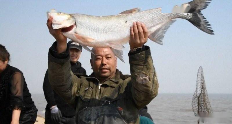兴凯湖的"嫁妆":我国放流20万尾大白鱼,俄罗斯"坐享渔利"?
