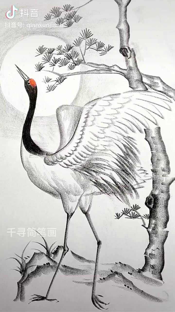 简单几笔画松鹤,喜欢这种花鸟系列的同学们可以试试一起学画画 炭笔画