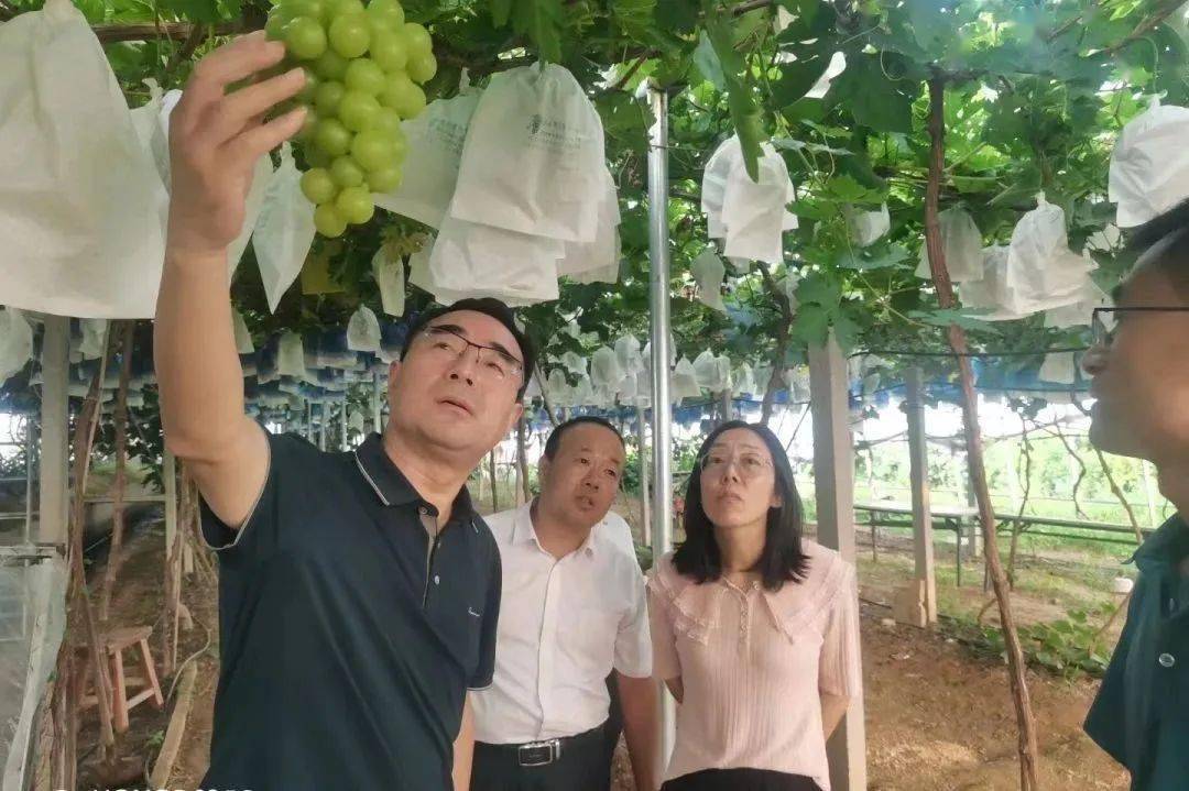 乡村振兴青年人才服务站 | 费县上冶镇这样_活动_培训_社会