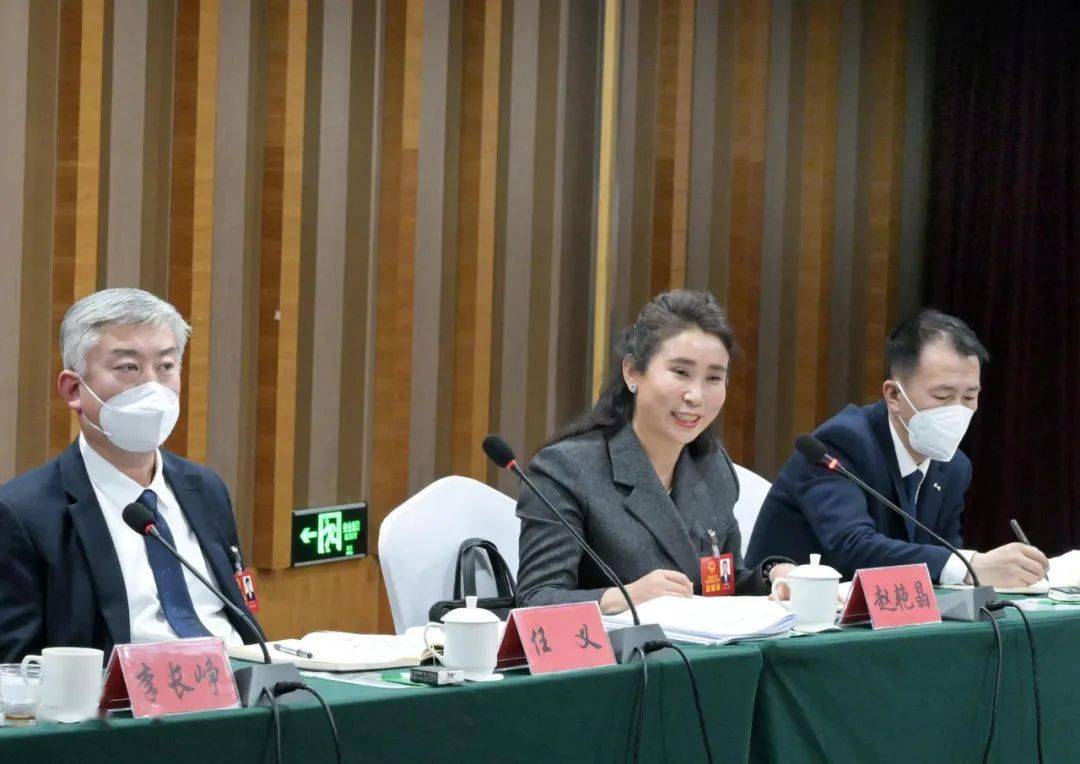 郎玉英代表说,作为一名农产品深加工企业负责人,我希望农村"三农"工作