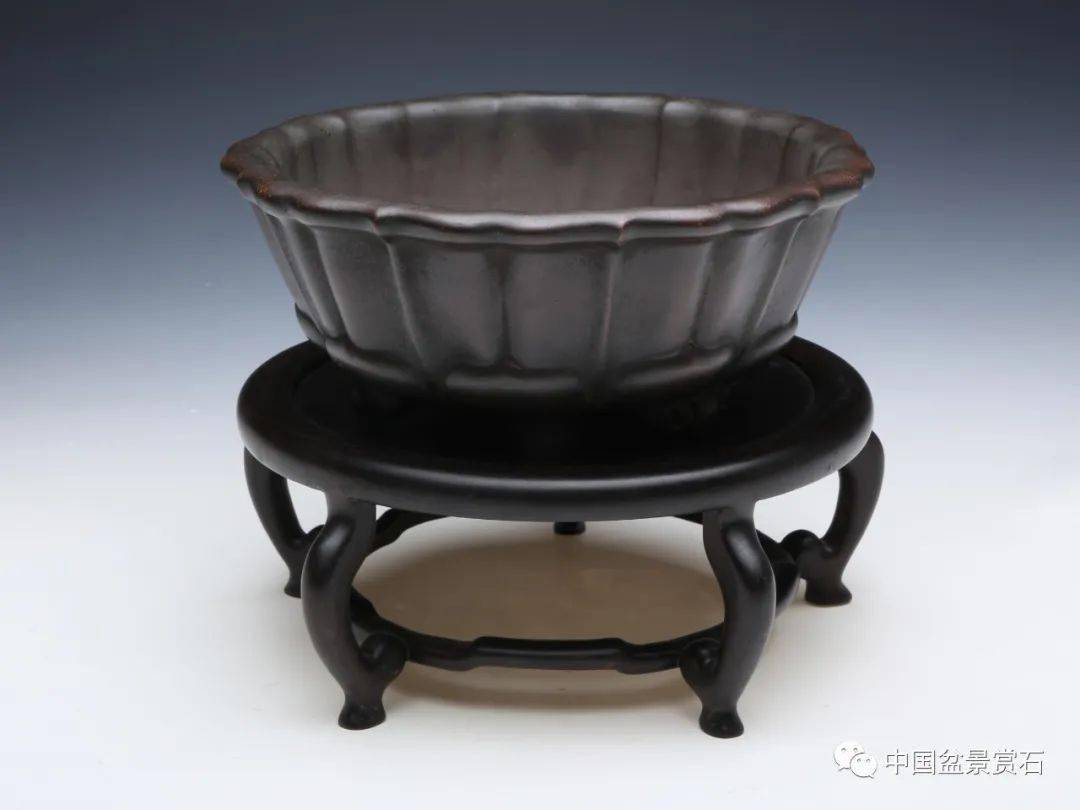 水明盆艺十八式新品惊艳出炉,不容错过!_cm_朱赛明_盆景