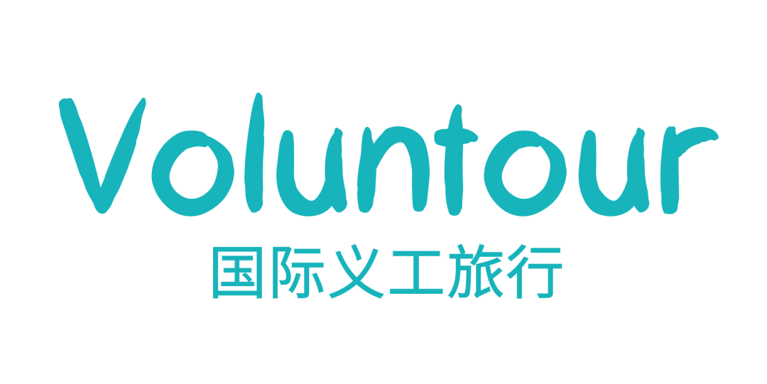 2023全新招募·巴厘岛海龟保育 | 在浪漫的巴厘岛碰见“重生”的本身