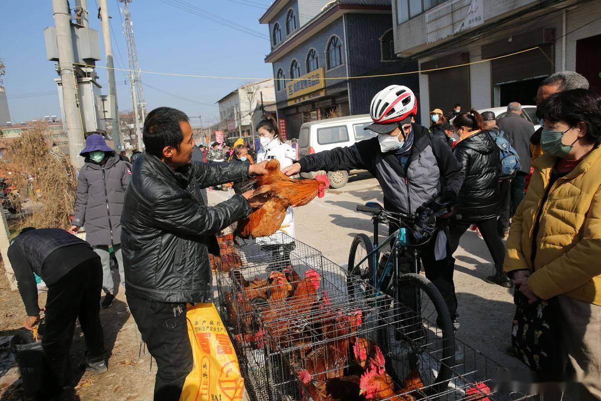 长安引镇万人集:腊月里乡村大集人气旺年味浓,烟火气又回来了_冻肉
