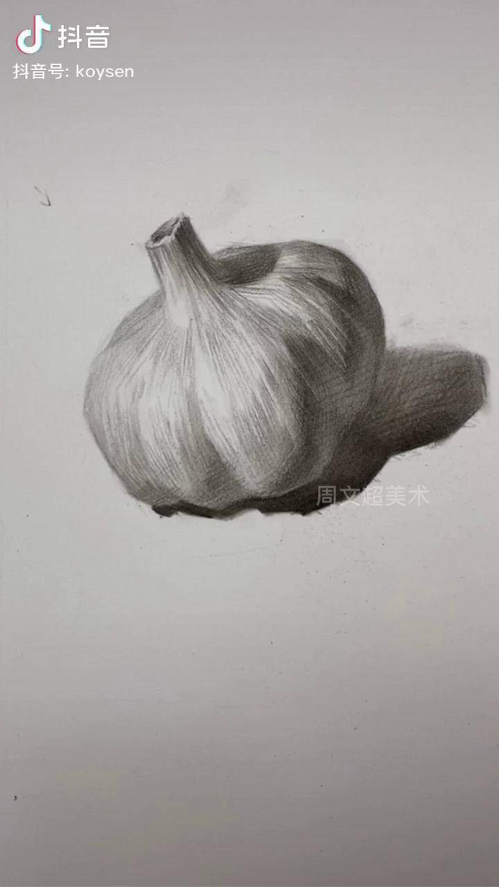 大蒜画法素描零基础 美术 素描