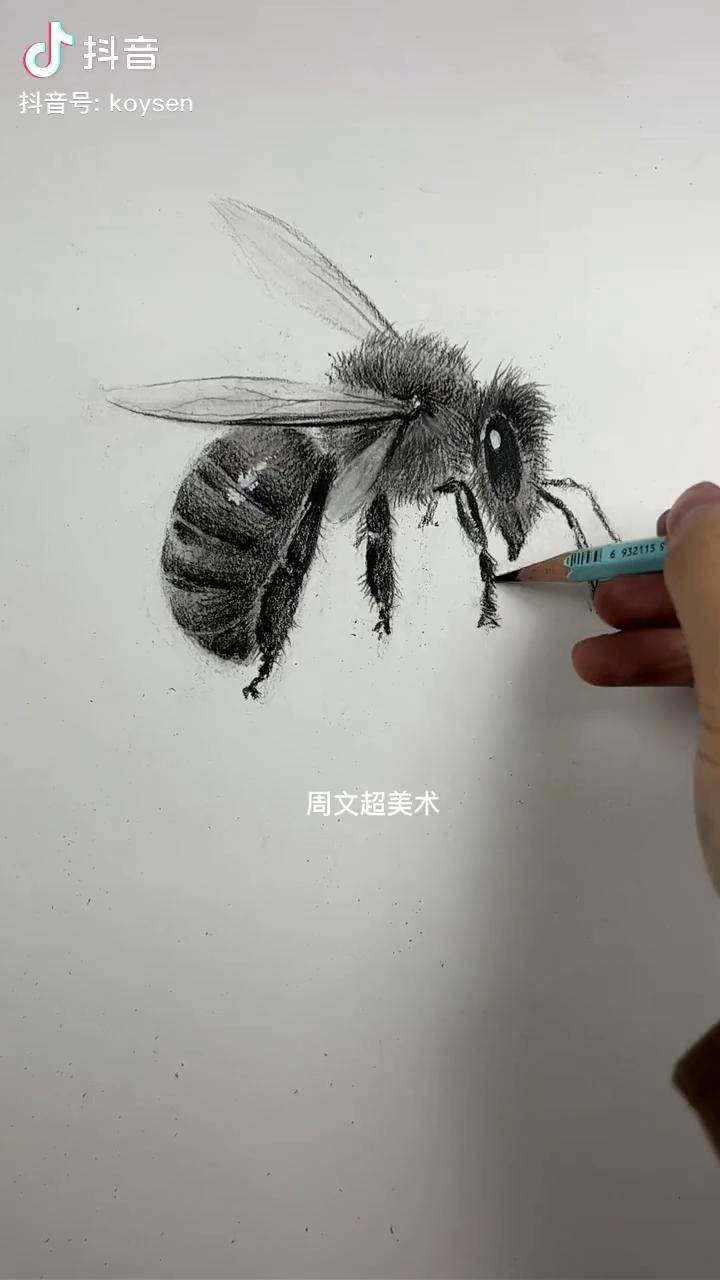 教你画超级简单的小蜜蜂零基础学画画 素描 画画