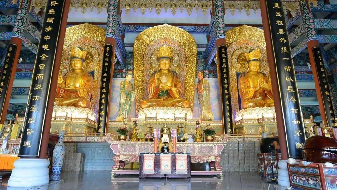 刚刚,珠海金台寺,珠海普陀寺发布最新消息!_观音_菩萨_法会
