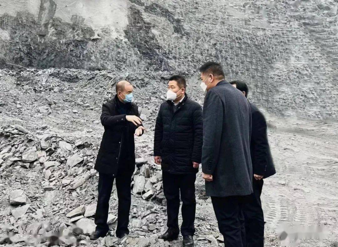 鲁延福督导检查秦岭环保问题整治工作_紫阳_生态_管理