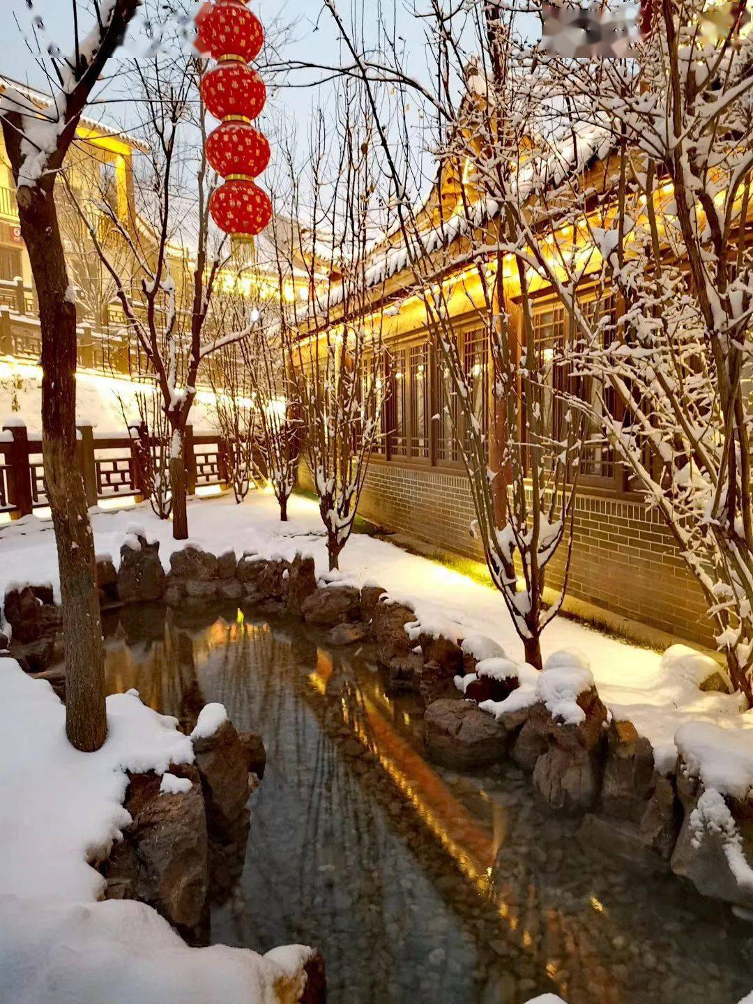 听说明天有雪 ▎初雪邂逅西部长青,是这个冬天最温柔的相遇!