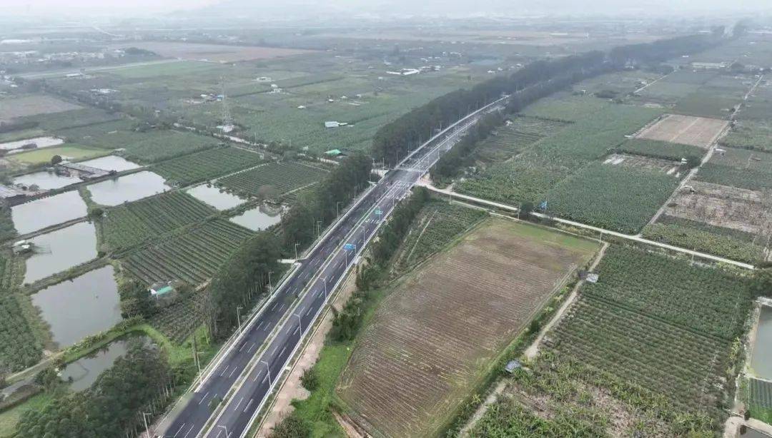 新春走基层 | 金鸿公路澄海段市政化改造工程(一期)全长20.