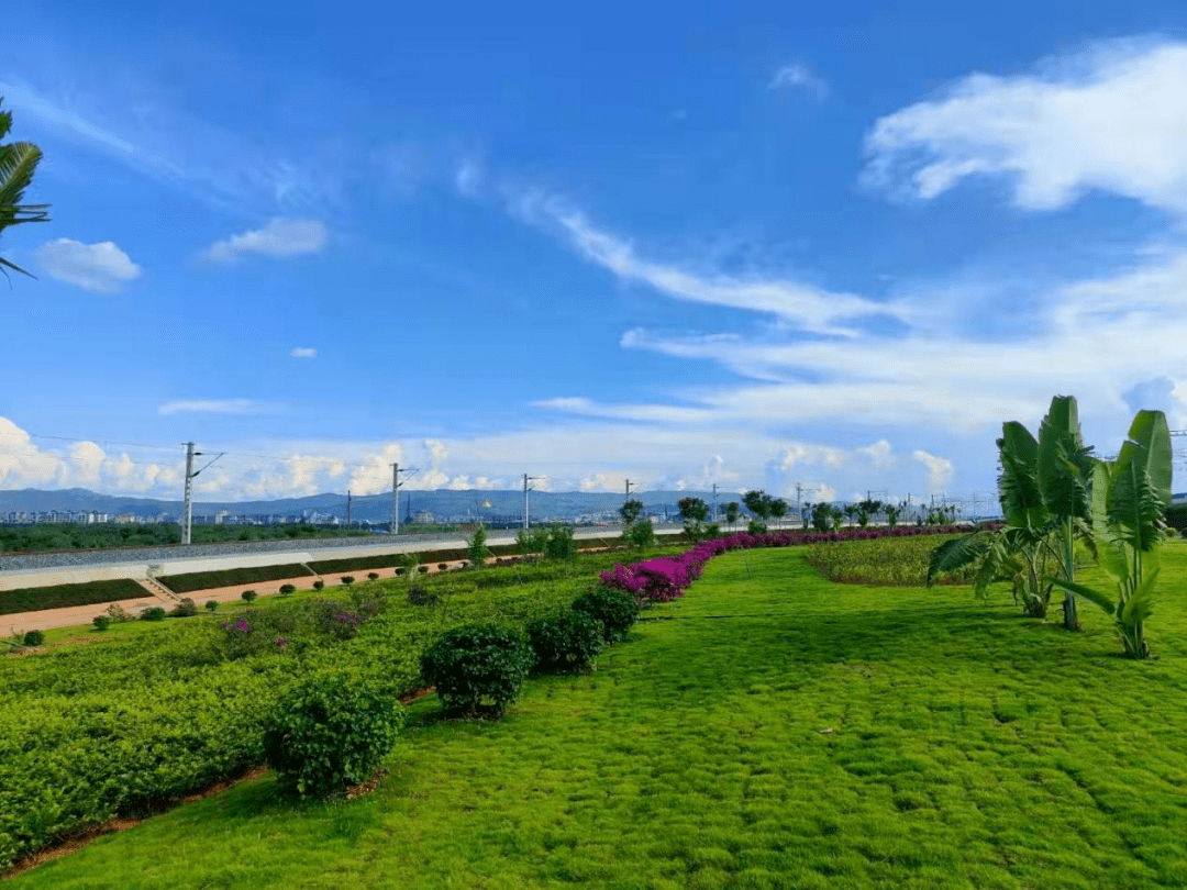 多措并举 全面推进绿美铁路和谐建设_绿化_工作_昆明