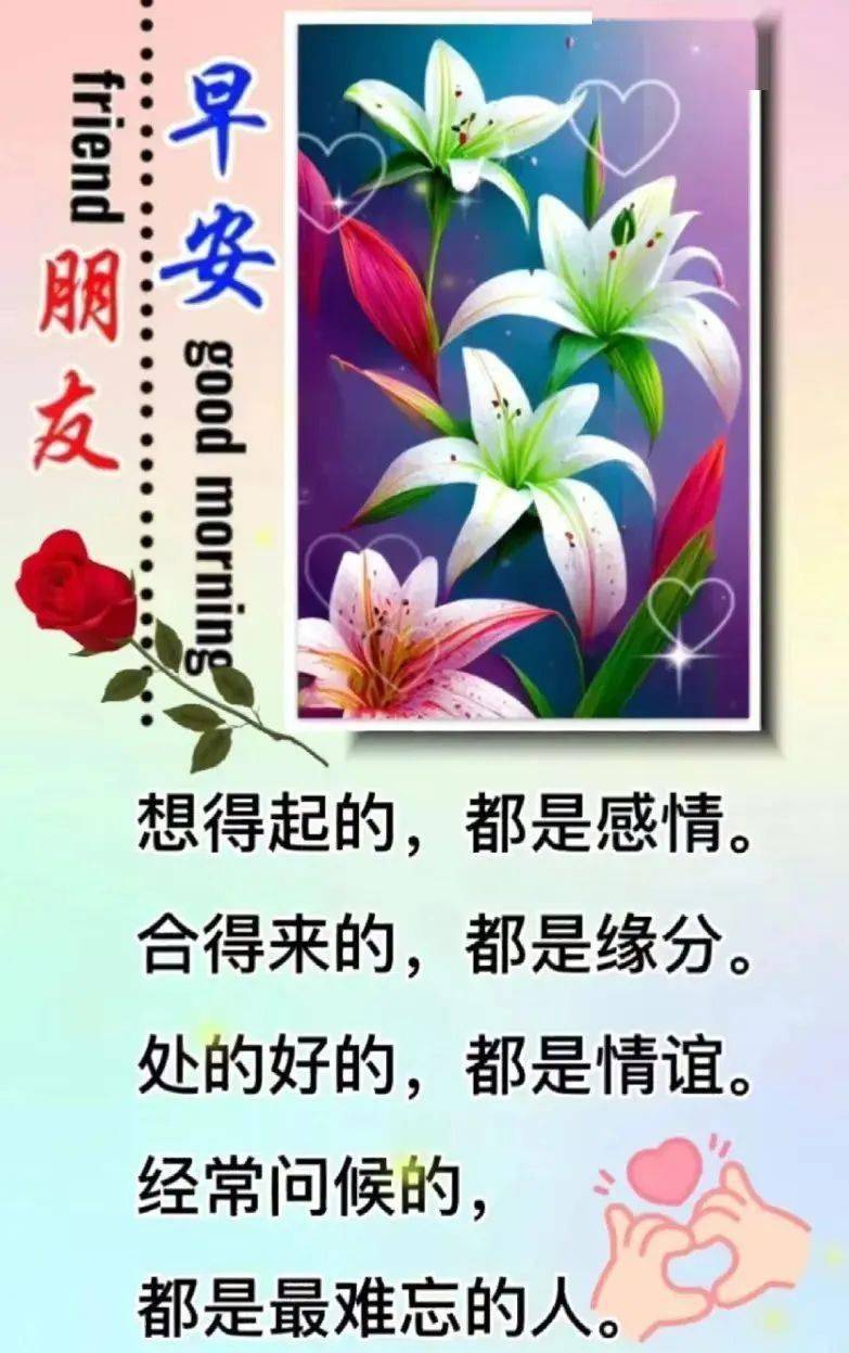 最新早上好祝福图片!