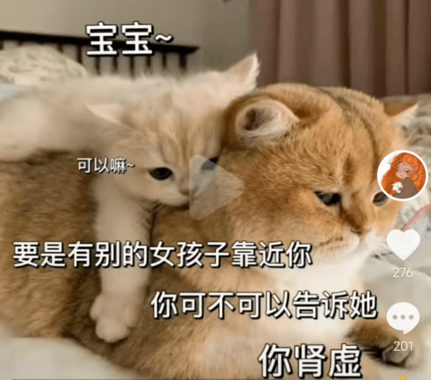 玩表情包还能赚钱?月入五位数?wtf?_视频_后台_收益