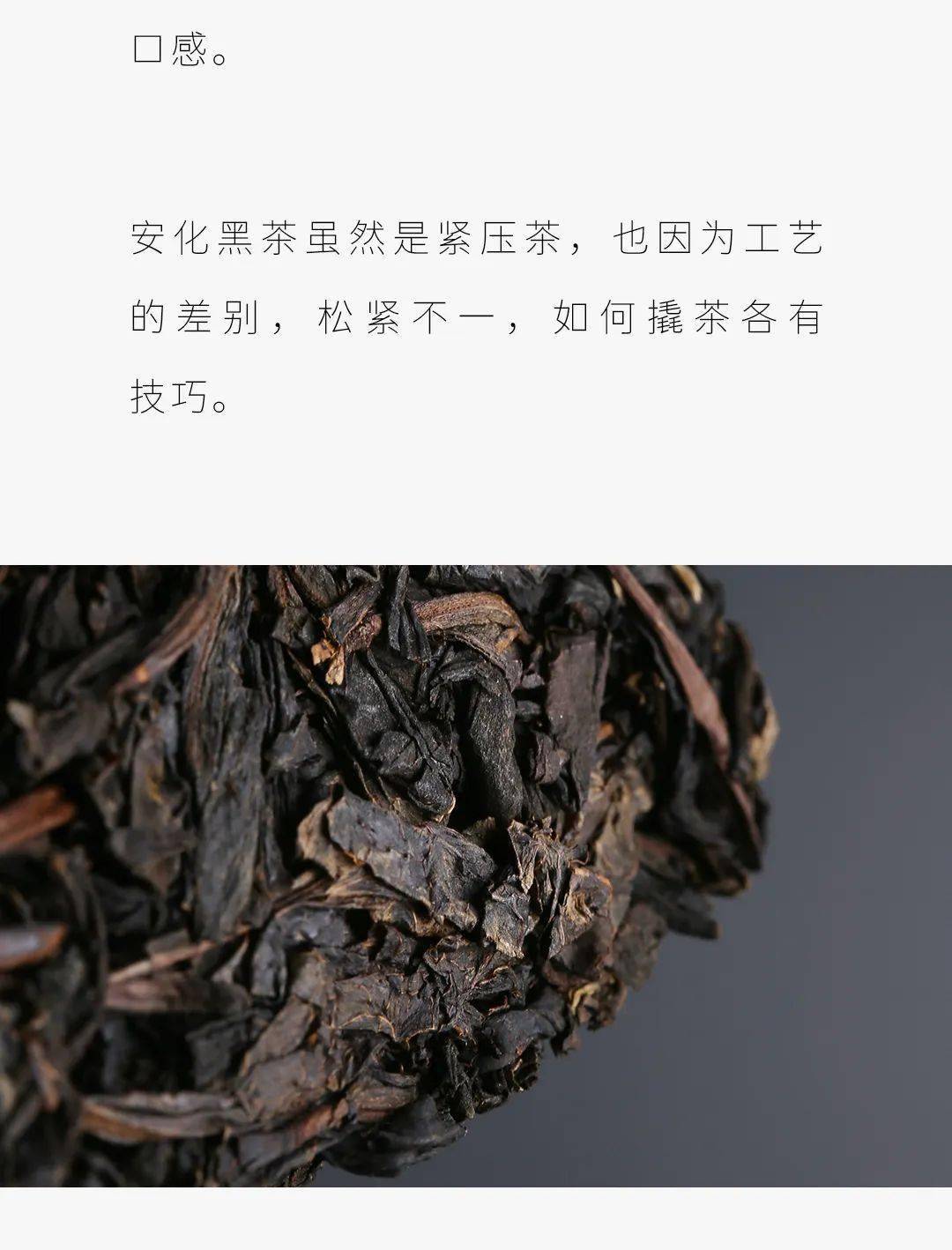 2热忱欢迎广大茶友投稿投稿请发至 admin@chinadarktea