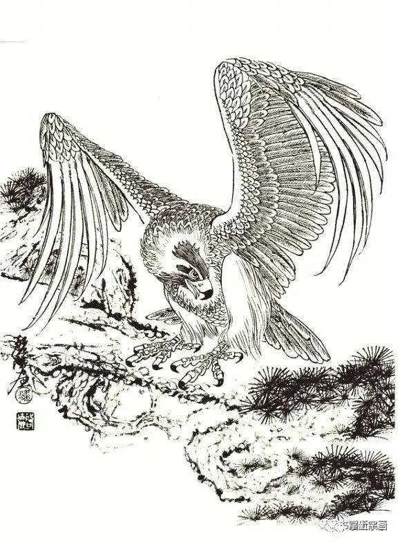"鹰"姿勃发——鹰谱分享_鹰姿_画谱_白描