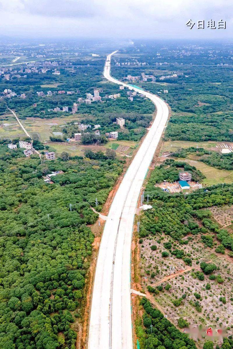 点上方"电白头条"进万人老乡群!