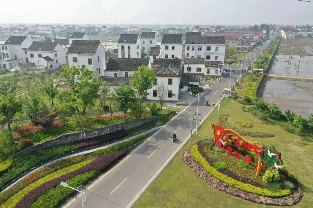 朱泾这个村获评国家级荣誉_村民_法治_议事