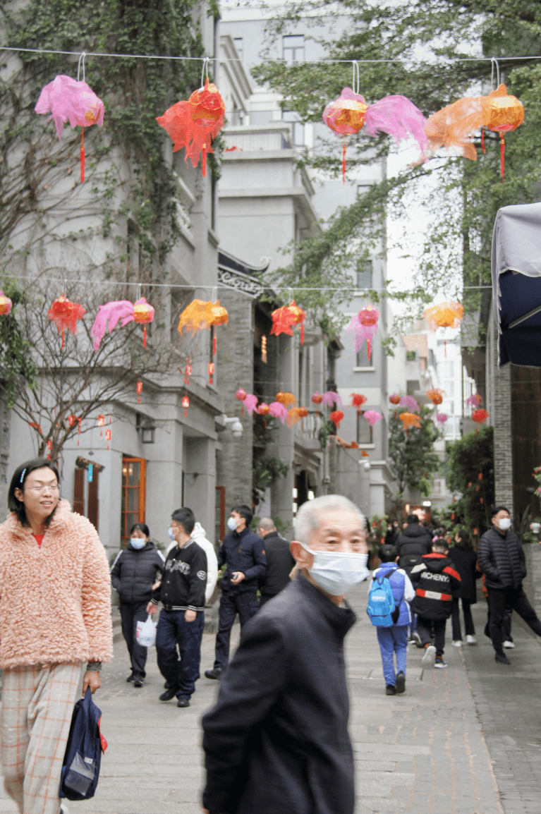 南山“新皮肤”已上线！花市、公园、古城年味浓