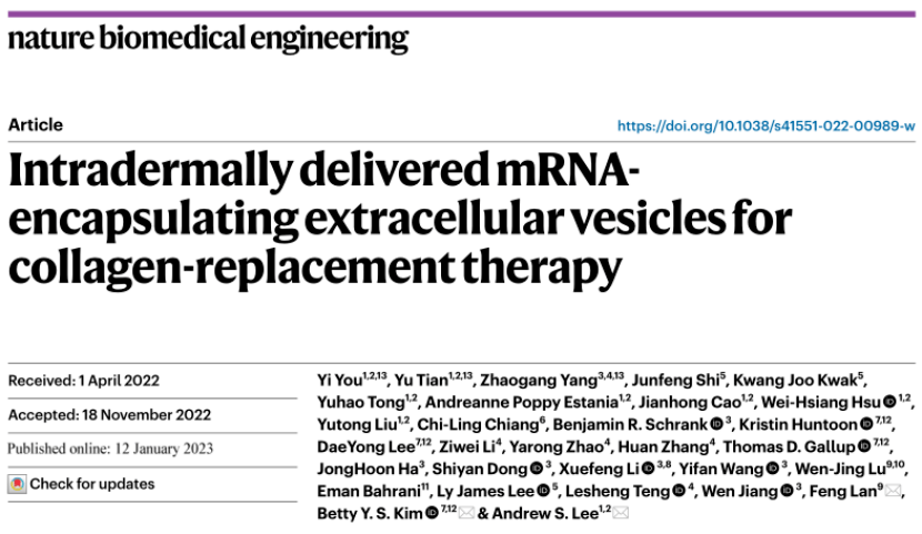 医美抗衰技术新变革！Nature子刊：细胞外囊泡装载mRNA新型递送系统，为下一代基因治疗提供新方向