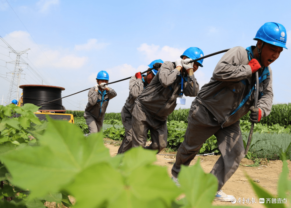 枣庄配电网工程持续八次连任国度电网百佳工程