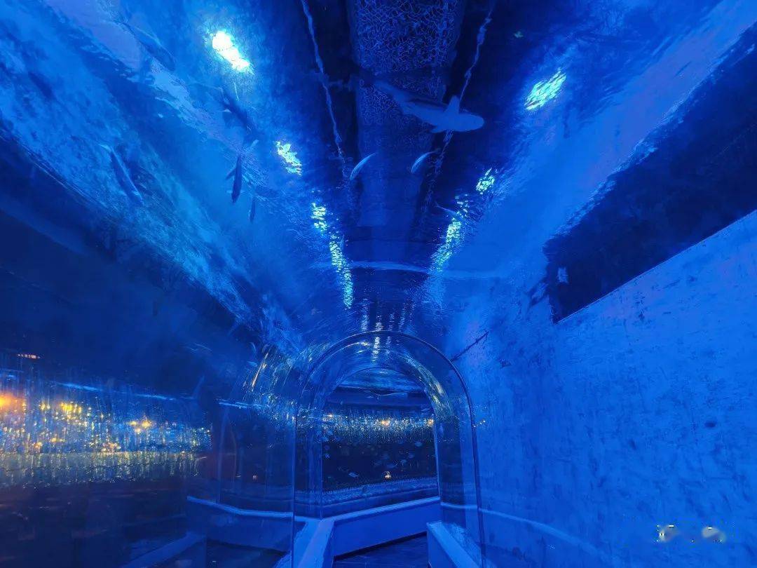 omg海洋部落,亚奥家门口的超大水族馆,快来玩!_活动_区域_带回家