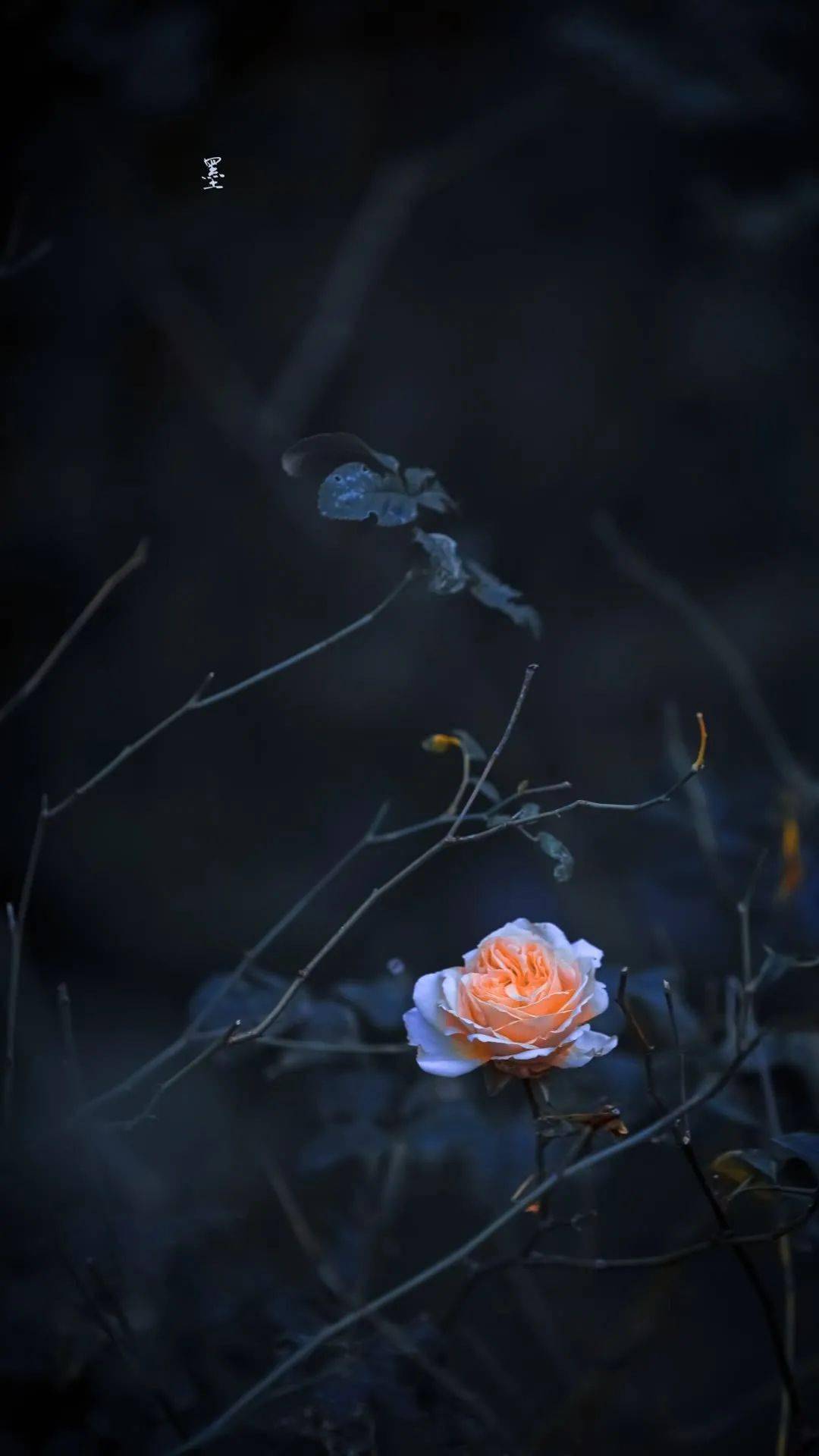 壁纸| 最近很火的冷酷暗色系壁纸_wi-fi_图片_字体