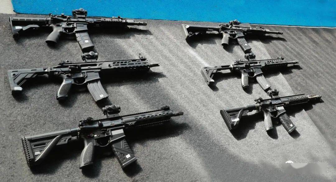 军用步枪再更新,优胜劣汰,lmt直接"吃鸡"——lmt公司之爱沙尼亚r20