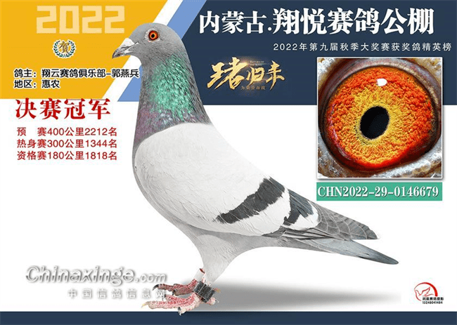 内蒙古蒙翔赛鸽公棚3.内蒙超越公棚通辽决赛亚军2.通辽兄弟公棚1.