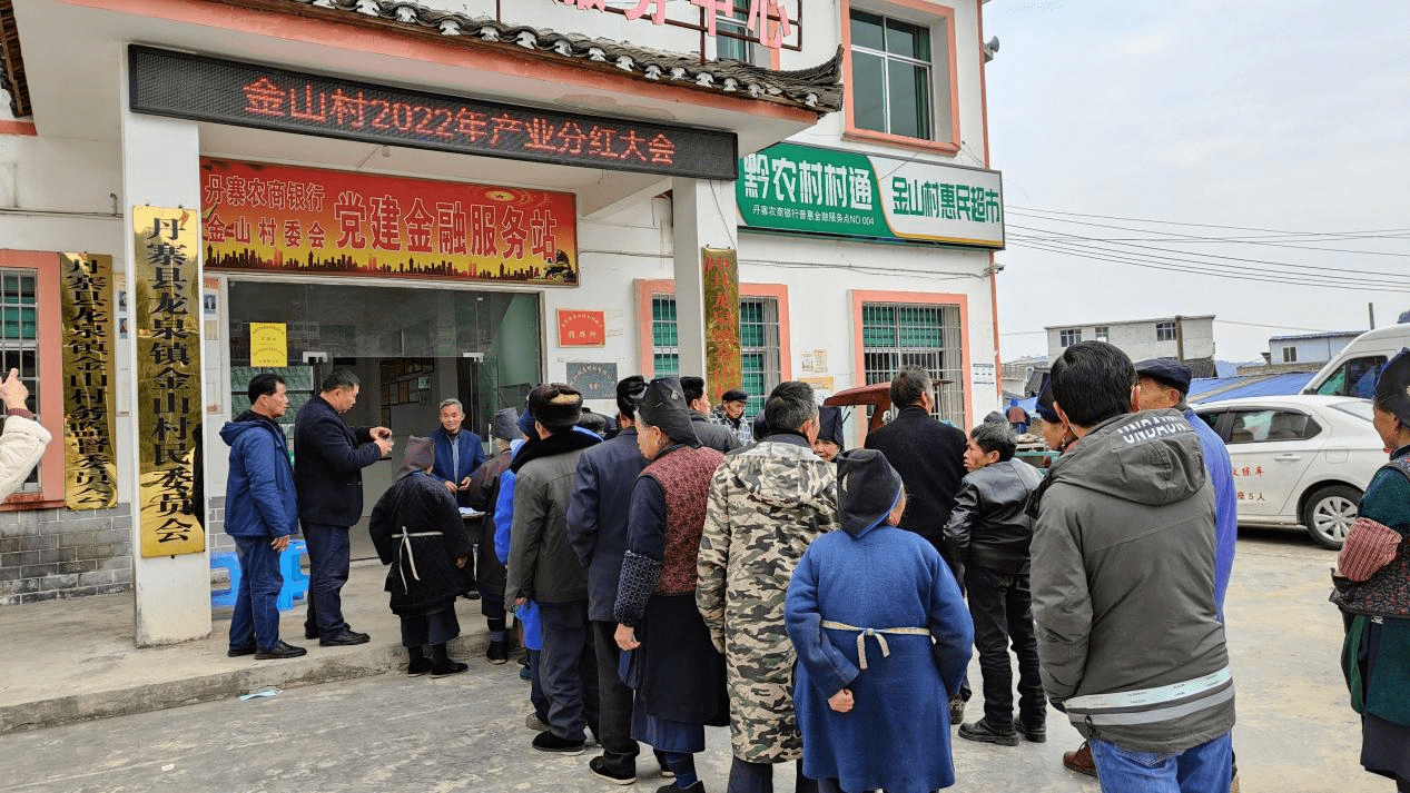 丹寨县龙泉镇:产业分红鼓干劲 乡村振兴添动力_金山村_群众_的发展